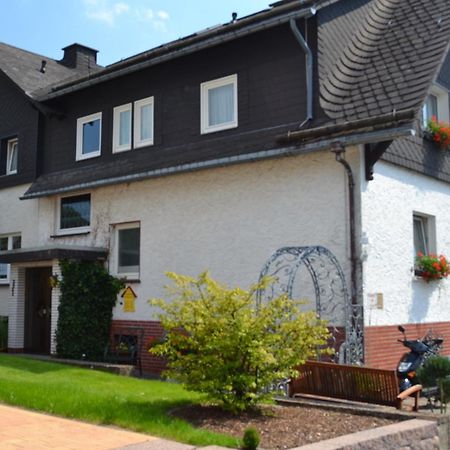 Pension Robin Hood Willingen  Εξωτερικό φωτογραφία