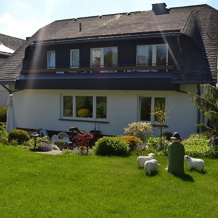 Pension Robin Hood Willingen  Εξωτερικό φωτογραφία