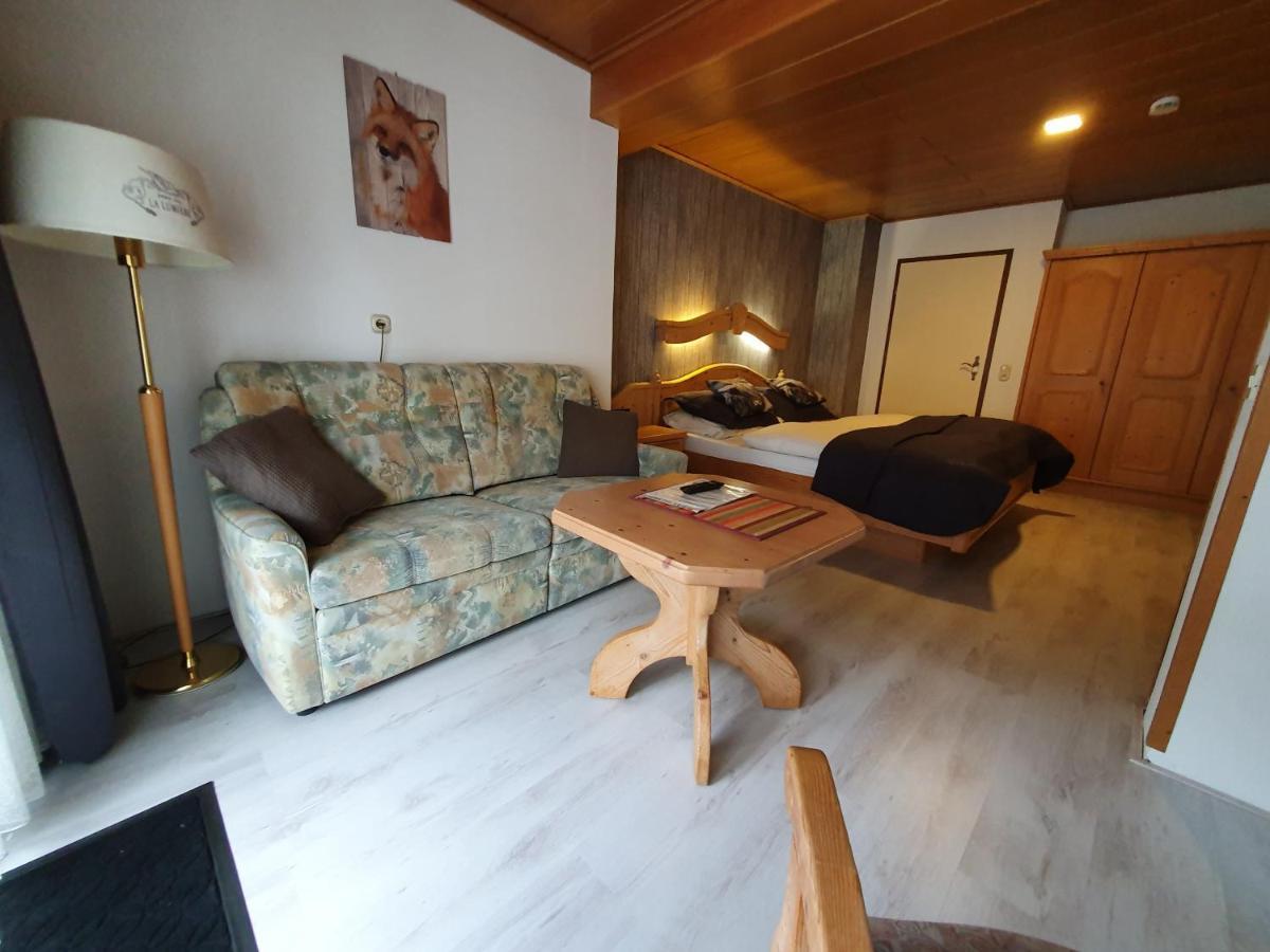 Pension Robin Hood Willingen  Εξωτερικό φωτογραφία