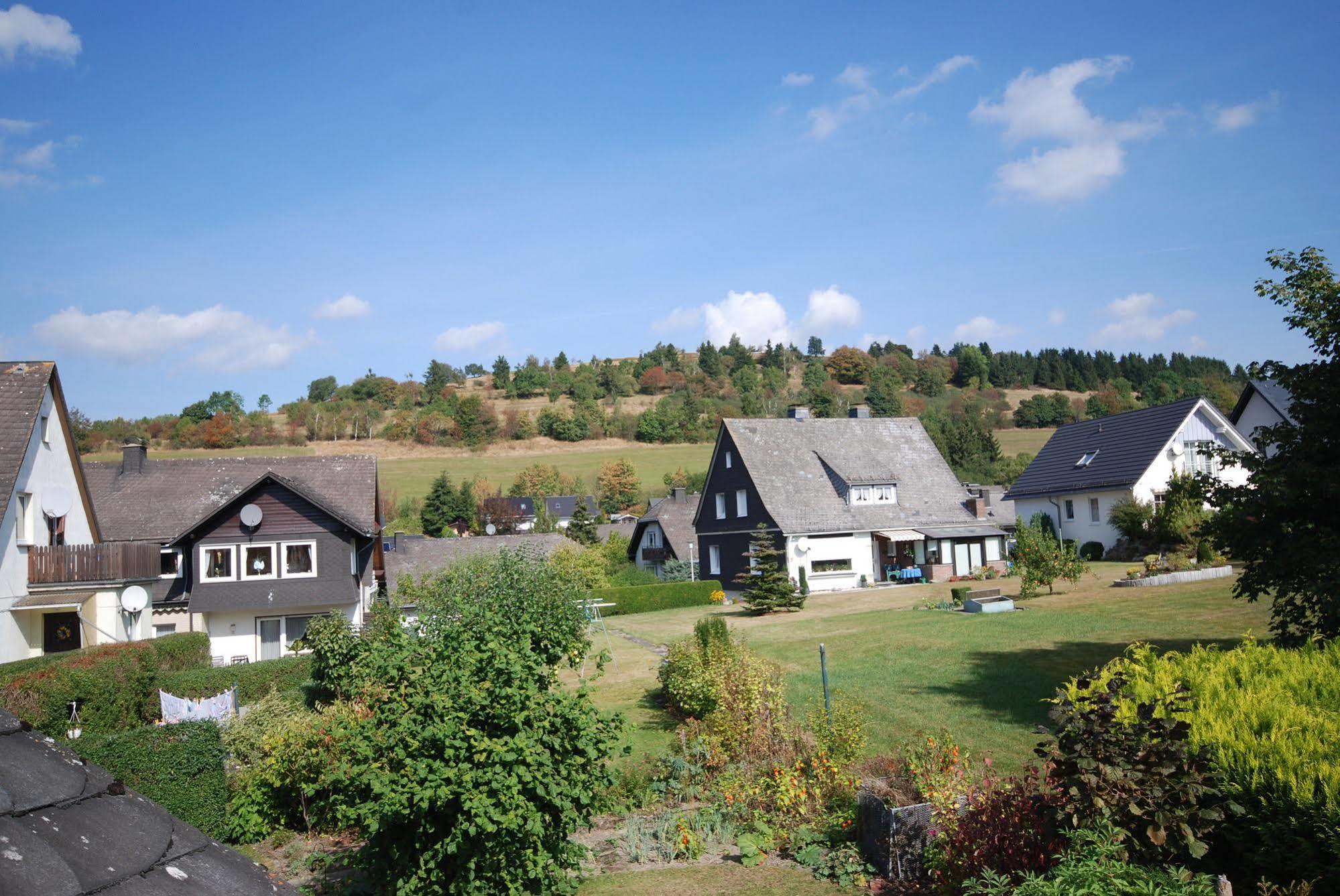 Pension Robin Hood Willingen  Εξωτερικό φωτογραφία